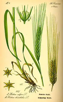 alternativní popis obrázku chybí