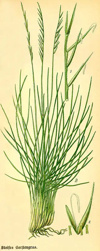 alternativní popis obrázku chybí