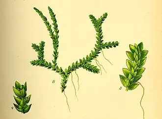 alternativní popis obrázku chybí