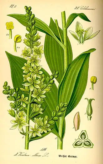 alternativní popis obrázku chybí