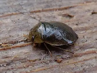 alternativní popis obrázku chybí