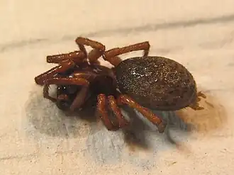 popis obrázku chybí