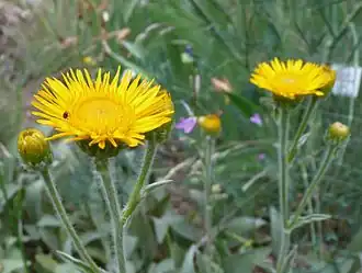 alternativní popis obrázku chybí