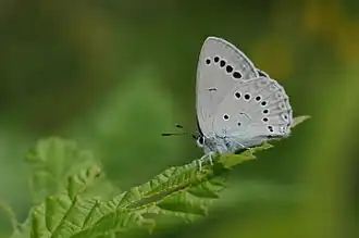 alternativní popis obrázku chybí