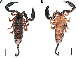 popis obrázku chybí