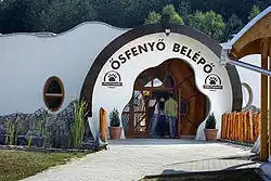 Muzeum starověké borovice v Ipolytarnóc