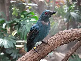 alternativní popis obrázku chybí