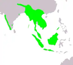 Areál rozšíření