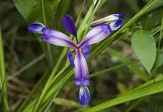 alternativní popis obrázku chybí