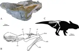 alternativní popis obrázku chybí