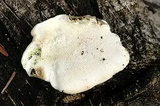 alternativní popis obrázku chybí