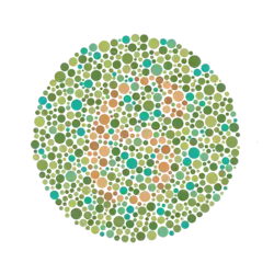 Ukázka testu barvosleposti