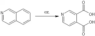 Oxidace isochinolinu