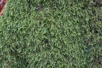 alternativní popis obrázku chybí