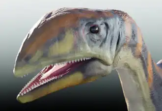 alternativní popis obrázku chybí