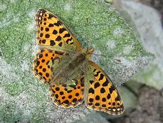 alternativní popis obrázku chybí