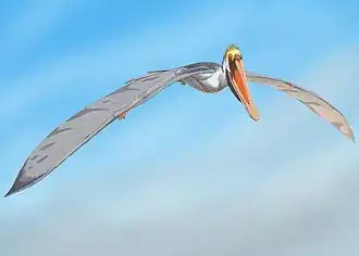 alternativní popis obrázku chybí