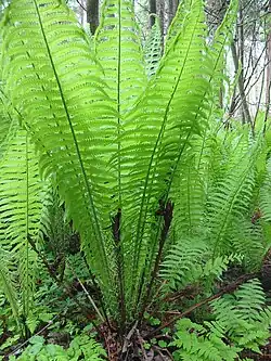 alternativní popis obrázku chybí