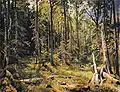 Ivan Ivanovič Šiškin, Smíšený les, 1888, olej na plátně