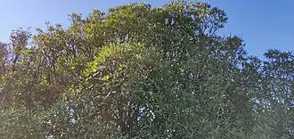 alternativní popis obrázku chybí