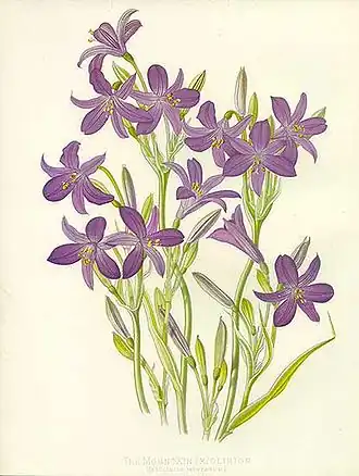 alternativní popis obrázku chybí