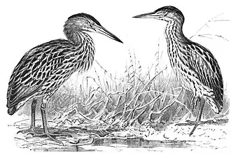 alternativní popis obrázku chybí