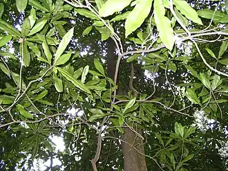 alternativní popis obrázku chybí