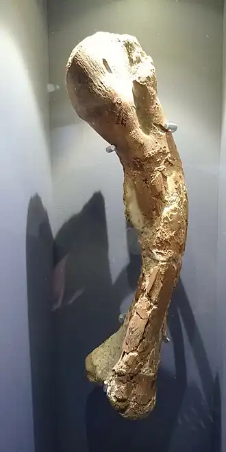 popis obrázku chybí