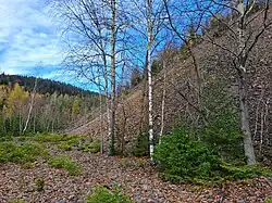 Jáchymov, Eliášské údolí 2023-11-06 19.jpg