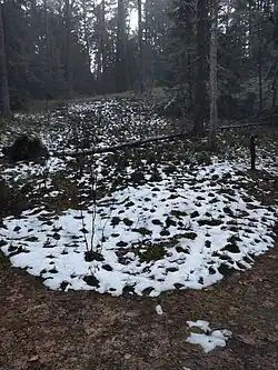 Pažintinis dendrologinis takas (Naučná dendrologická stezka)