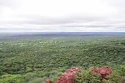 Pohled na rozlehlou plochu zarostlou křovím