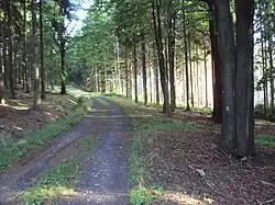 Cesta skrz rezervaci Jezevčí vrch