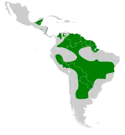 Areál rozšíření