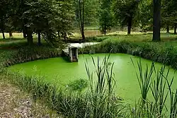 Rybníčky v Jabkenické oboře