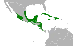 Areál rozšíření