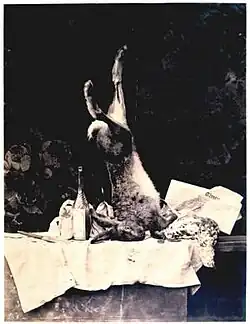 Camille Silvy: Lovecké zátiší s novinami Times, okolo 1858, fotografie