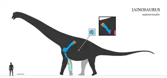 alternativní popis obrázku chybí