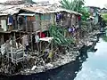 Slum uprostřed bažin, Jakarta, Indonésie