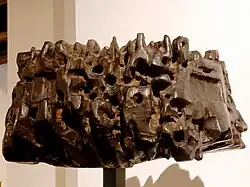 Pomazaná hlava (1963)