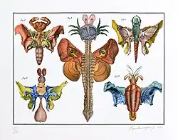 Bilderlexikon - Hexapoda 5 (2023), litografie