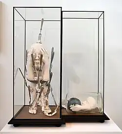 Masochistická alchymie (1966)