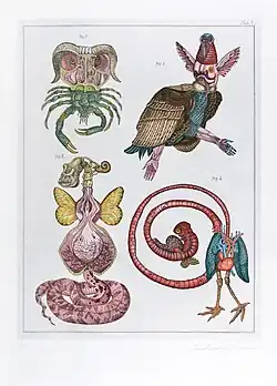 Přírodopis, Tab. 1 (1973), lept