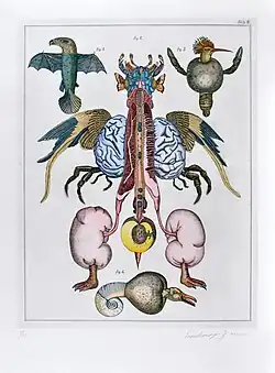 Přírodopis, Tab. 2 (1973), lept