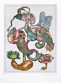 Přírodopis, Tab. 7 (1973), lept