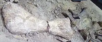 popis obrázku chybí