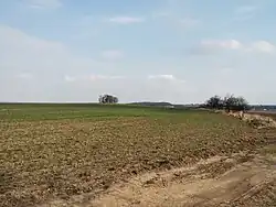 Pohled na vrchol Jankova