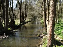 Jankovský potok u Hojkov