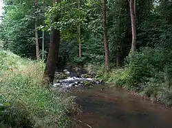 Janovický potok nad ústím Tloskovského potoka