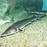 popis obrázku chybí