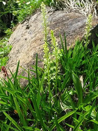 alternativní popis obrázku chybí